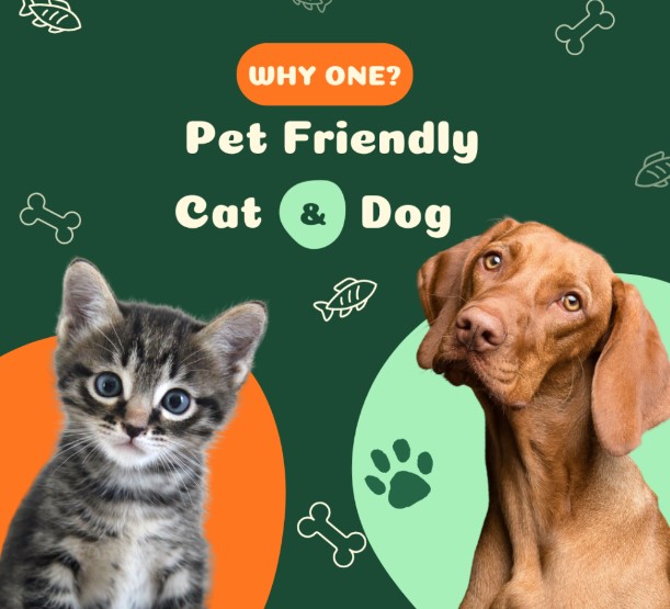 pet-friendly (dog & cat) - cam realty